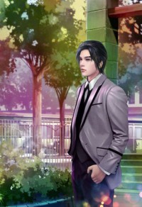 透視贅婿