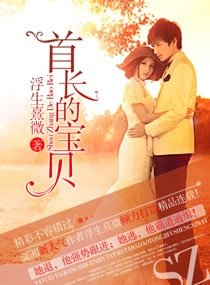 首長的寶貝-名少的寶貝