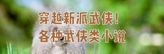 穿越新派武侠！各种武侠类小说